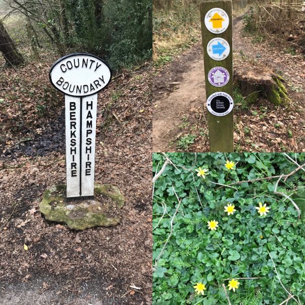 Various routes around Baughurst